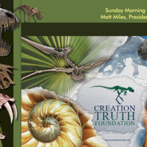 Creation Truth Foundation